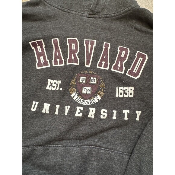 Harvard University Hoodie Size S Gray Bay State Gear Sweatshirt Pullover College - Picture 3 of 4